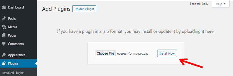 Installing Premium Plugins
