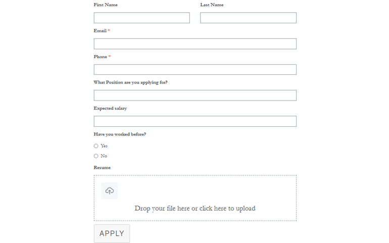 Preview of Job Application Form