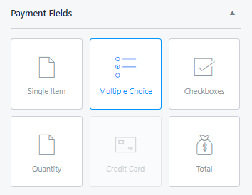 Payment-Fields-Multiple-Choice